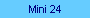 Mini 24